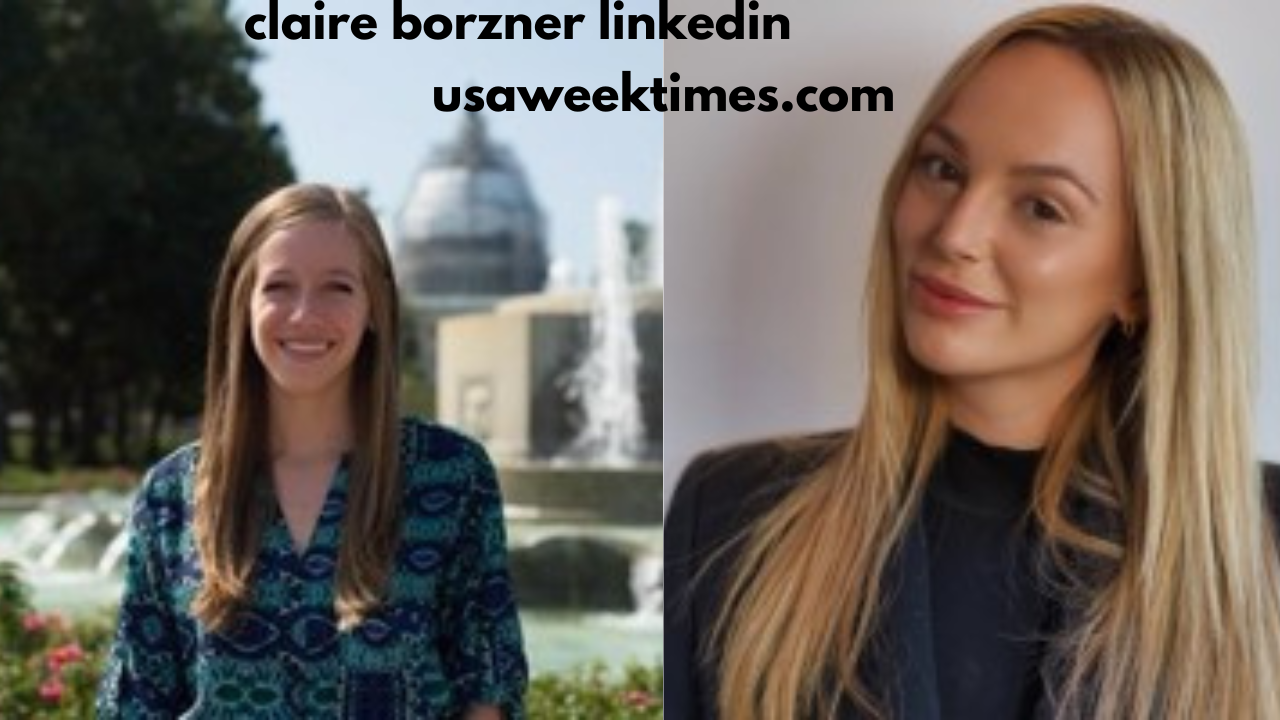 claire borzner linkedin