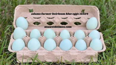 adams farmer heirloom blue eggs 12524