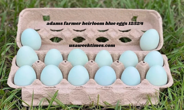 adams farmer heirloom blue eggs 12524