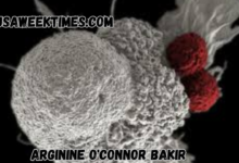 arginine o'connor bakir