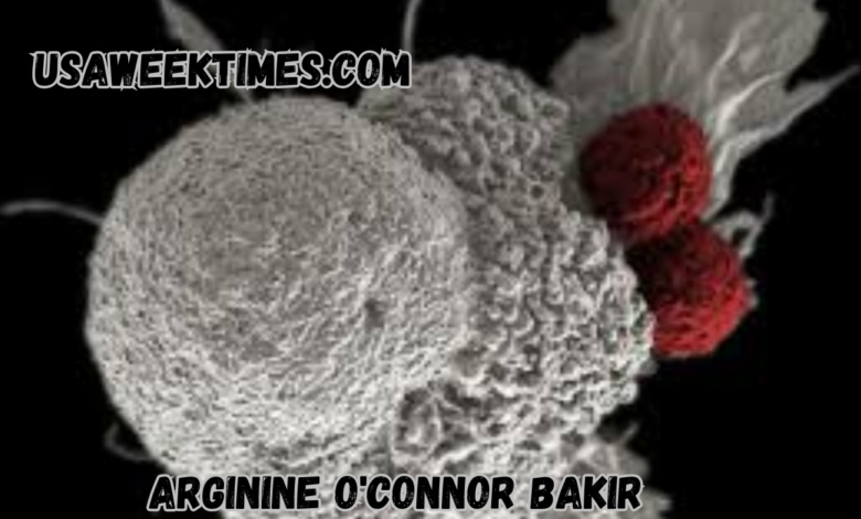 arginine o'connor bakir