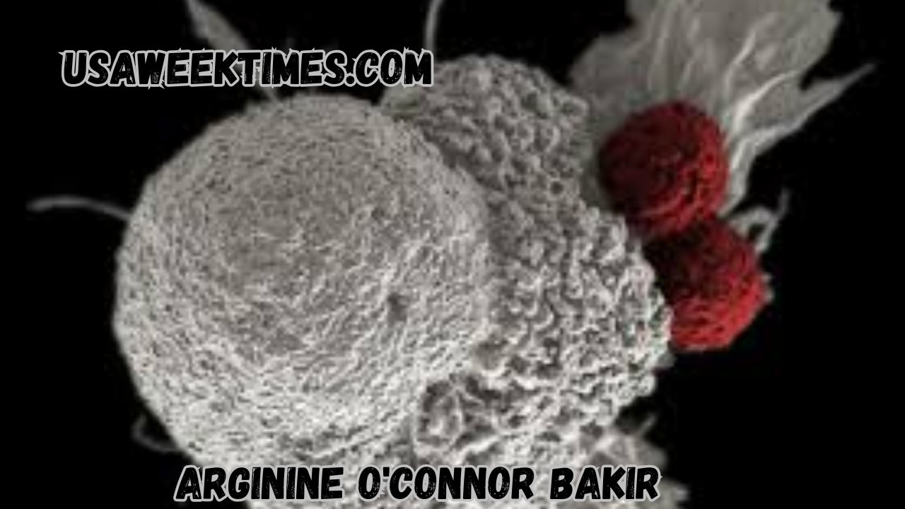 arginine o'connor bakir