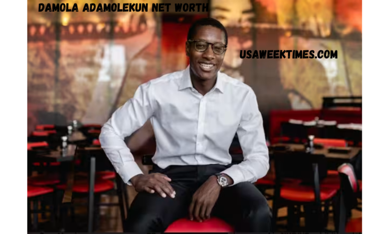 damola adamolekun net worth