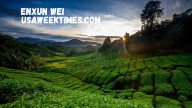 Then create image for article must in rectangle shape