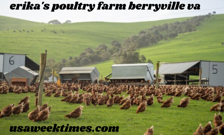 erika's poultry farm berryville va