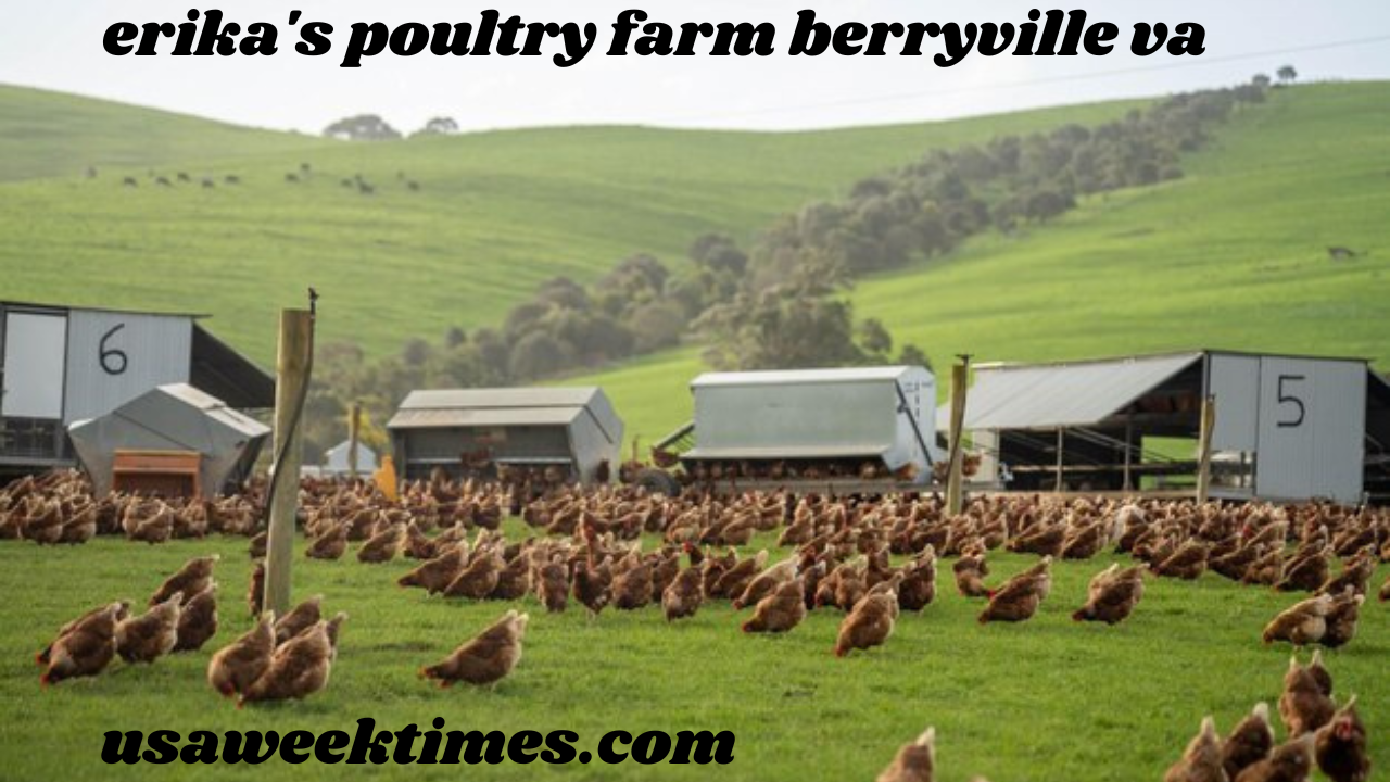 erika's poultry farm berryville va