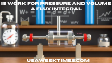 is work for pressure and volume a flux integral