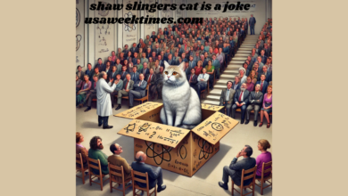 shaw slingers cat is a joke