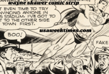 wayne skawer comic strip