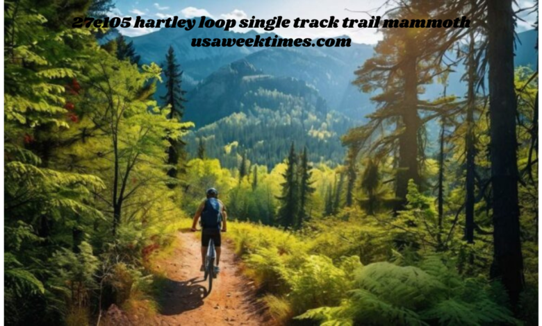 27e105 hartley loop single track trail mammoth