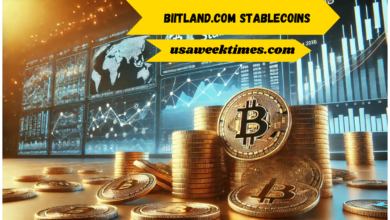 biitland.com stablecoins